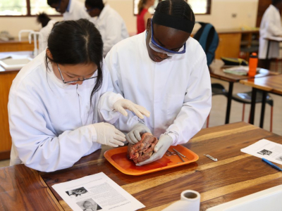 Amano Christian School photo